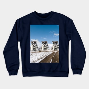 husky puppies Crewneck Sweatshirt